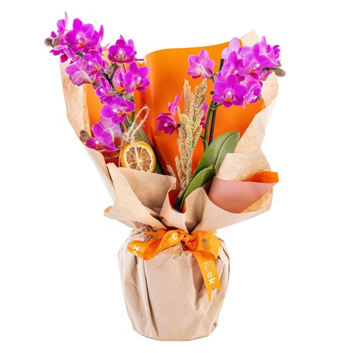 Rustic Love Orkide