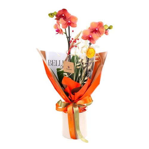 Rustic Sunset Charm Orkide