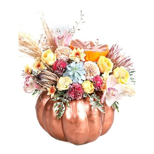 Salmon Pumpkin Show