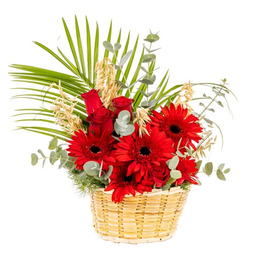 Scarlet Joy Gerbera & Gül Sepeti