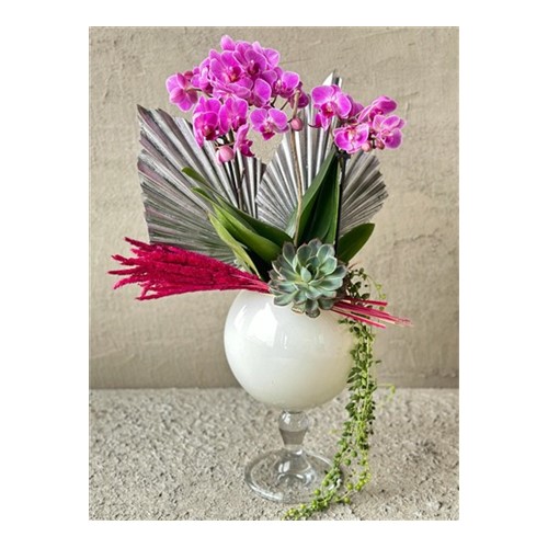 Showy Pink Orchid