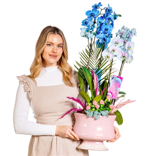 Sky & Pearl Orchid Deluxe Harmony Aranjman