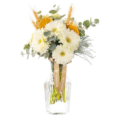 Soft Citrus Vazoda Beyaz Gerberalar