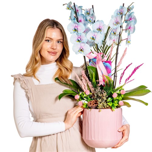 Soft Cloud Orchid Premium Elegance