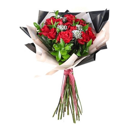 Succulent Of Red Rose