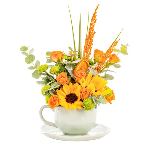 Sun Cup Gül & Günebakan