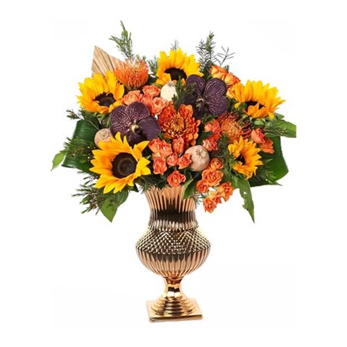 Sun Flower Fantasy