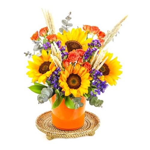 Sun Flower Of Orange