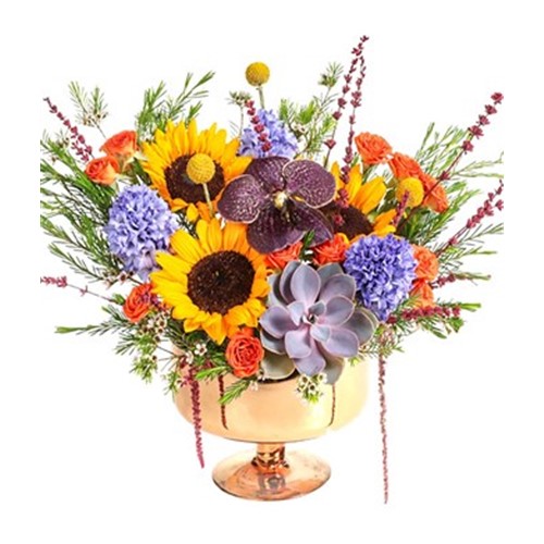 Sunflower Mix Hyacinth