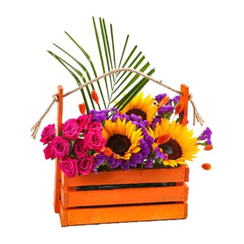 Sunflower Orange Garden
