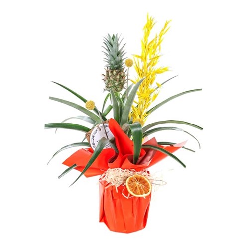Sunny Ananas Glow