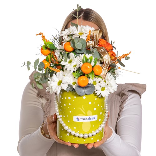 Sunny Citrus Papatya Kutusu