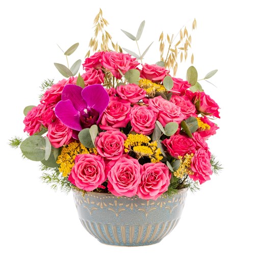 Sunrise Bloom Pembe Çardak Güller