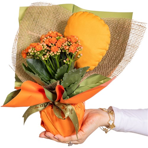 Sunrise Charm Orange Kalanşo