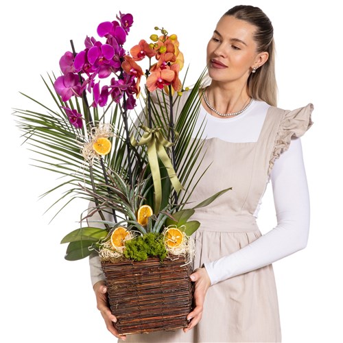 Sunset Basket Luxury Orkide