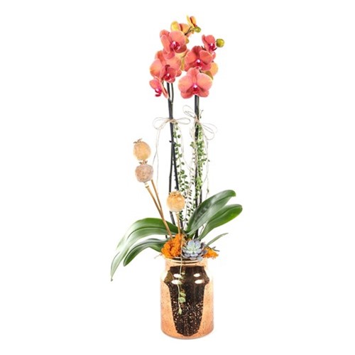 Sunset Vase