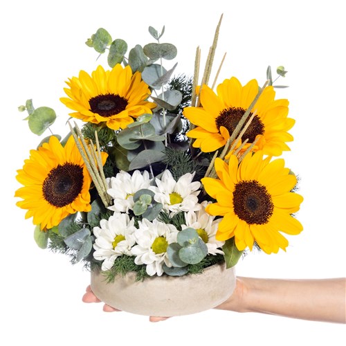 Sunshine Melody Ayçiçeği Aranjmanı