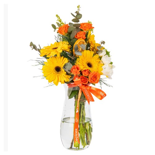 Sunshine Orange Gerberalar