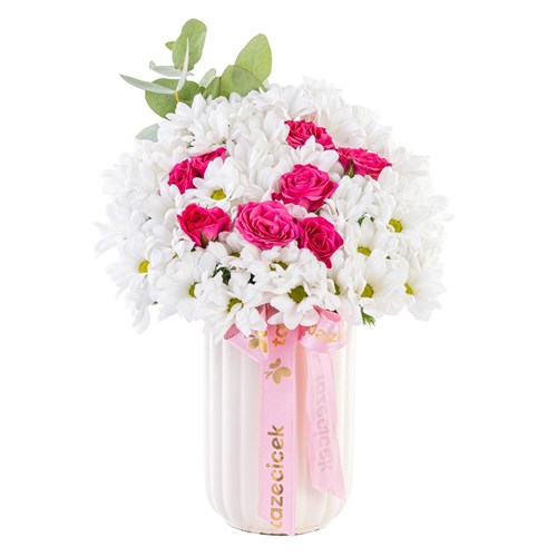 Sweet Harmony Daisy Papatyalar