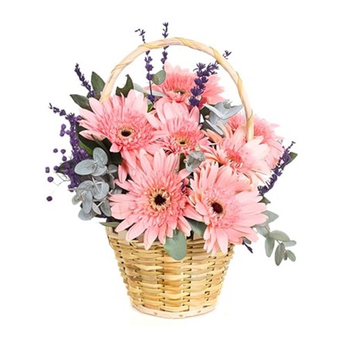 Sweet Suprise Pembe Gerbera Aranjmanı