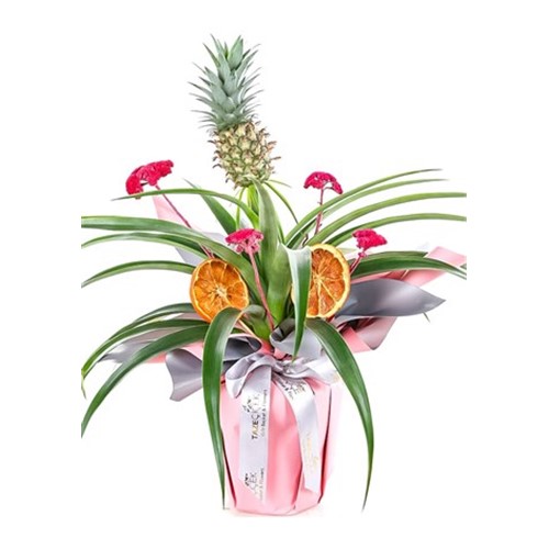 Tasty Ananas Glow