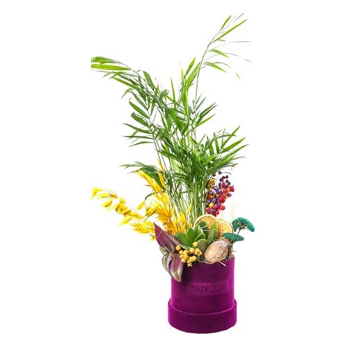 Temperate Flower