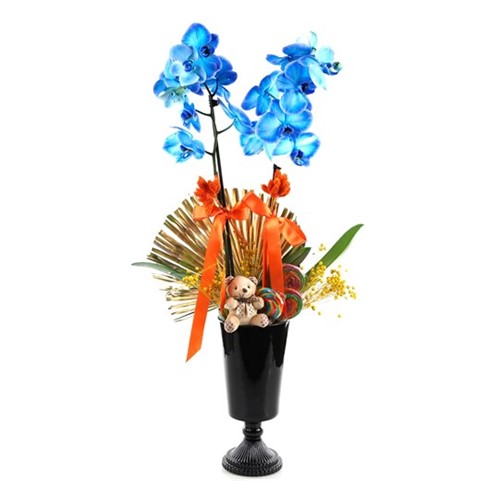 The Blue Orchid In The Candy Orkide