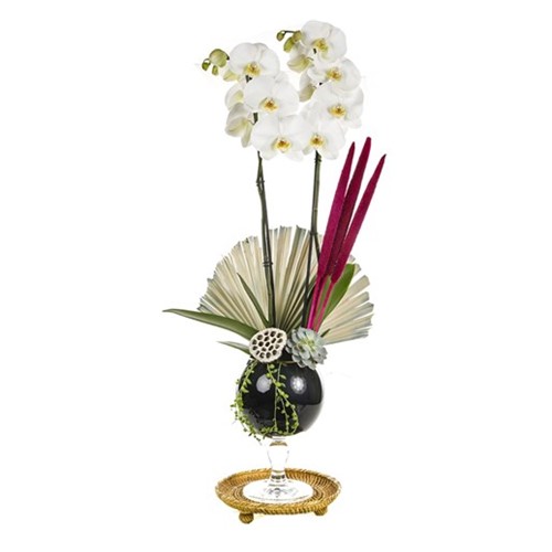 The Luxury Of White Orchid