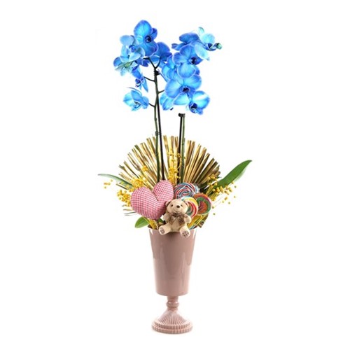 The Sweetest Blue Orkide