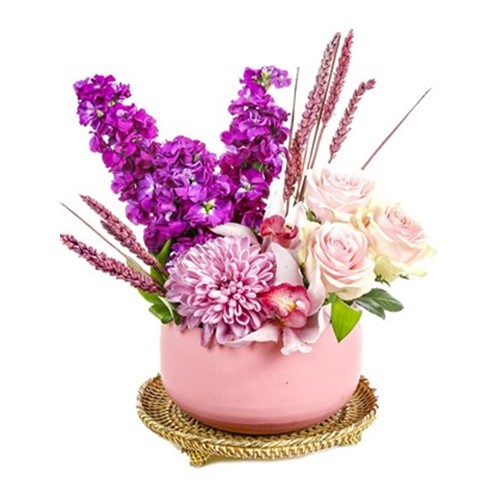 The Sweetness of Pink and Purple