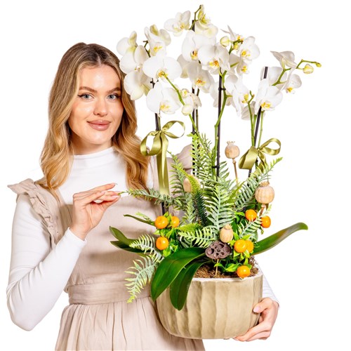 Timeless Orchid Chic Luxury Orkideler