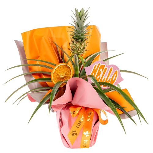 Tropical Hello Ananas