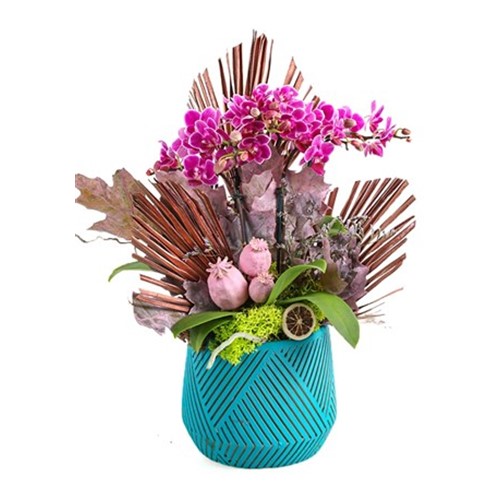 Turquoise Purple Love