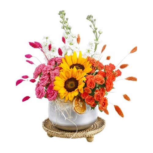 Two Colors Sunflowers