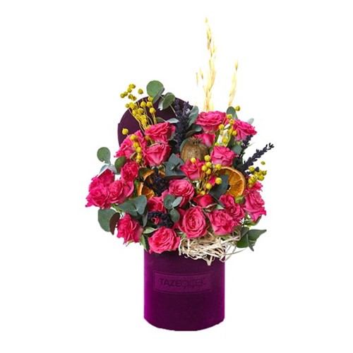 Velvet Touch Rose Radiance