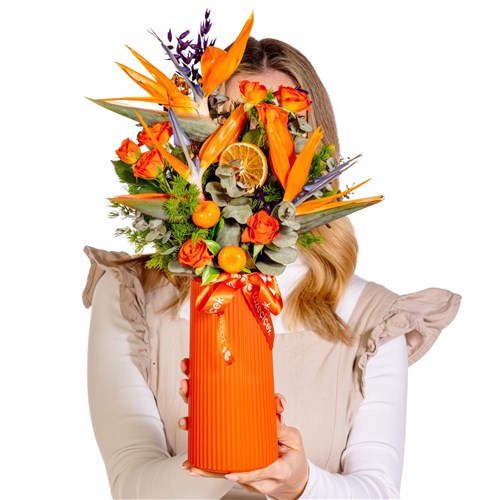 Viva Blaze Tropic Starliçeler