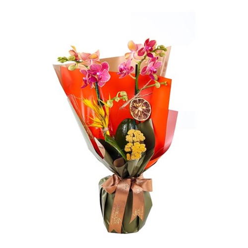 Warm & Full Of Love Mothers