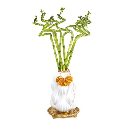 White Bamboo