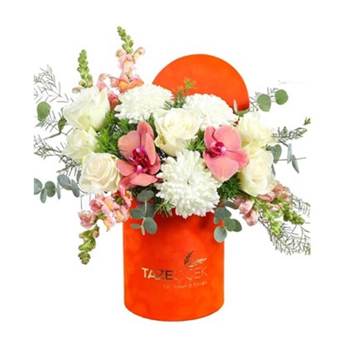 White Mood Orange Box