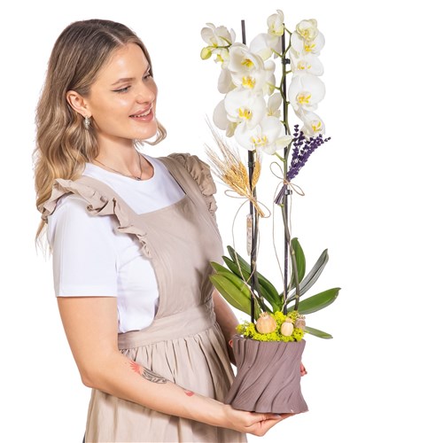 White Woodland Çift Dal Beyaz Orkide