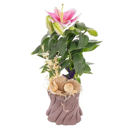 Woody Pink Lilyum Aranjmanı