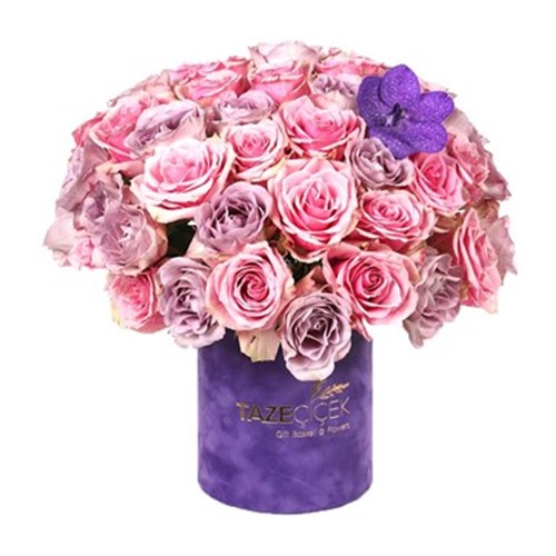 World Of Roses