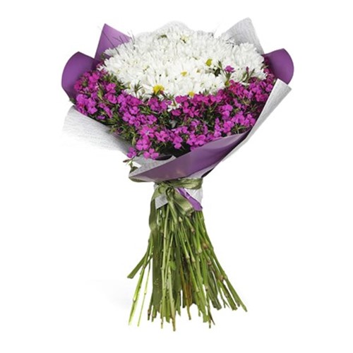 Wrapped Daisy Çiçek Buketi