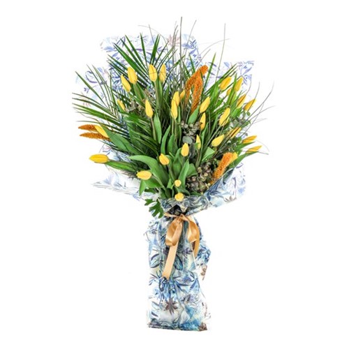 Yellow Tulip Wind