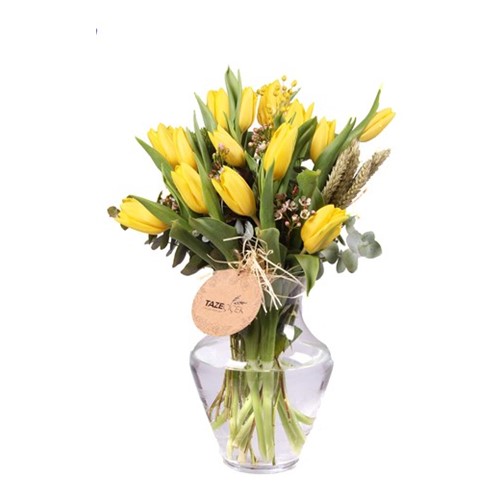 Yellow Tulips - Lale