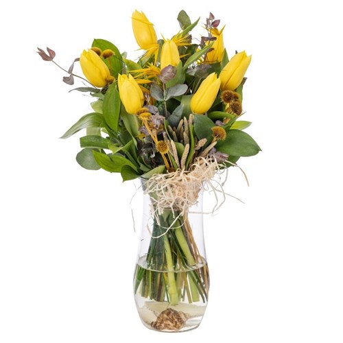 Yellow Whisper Tulip Elegance